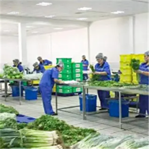 嬰智貝佳早教中心加盟 費用多少 條件